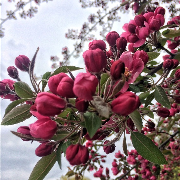 Meet your Posher, Steph - Picture 4 of 6